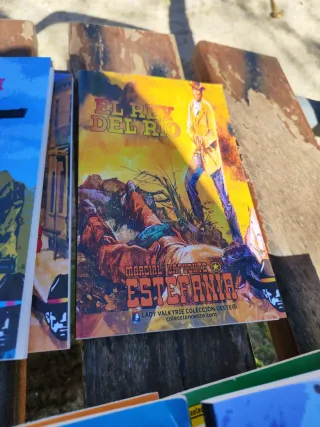 Lote de 27 novelas del oeste Estefania