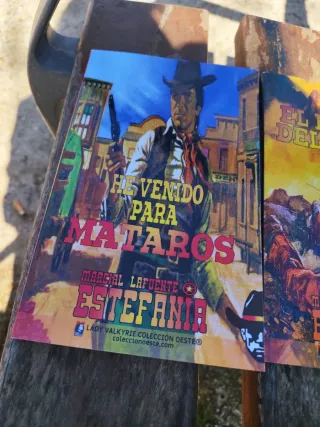 Lote de 27 novelas del oeste Estefania