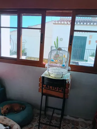 Ventana nogal con persiana  ancho 2metro alto 1.20