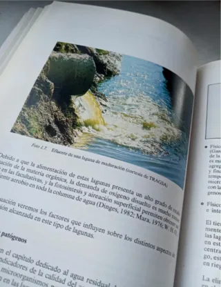 Depuracion Por Lagunaje de Aguas Residuales.