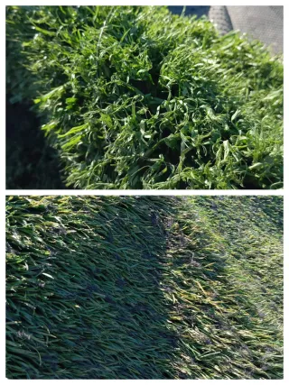 Césped artificial reciclado