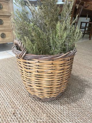 Cesta mimbre antigua