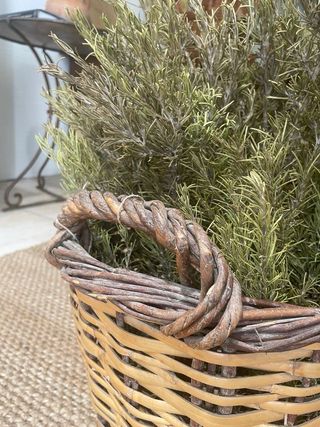 Cesta mimbre antigua