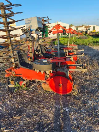 Plantadora Tomate y hortícolas Checchi & Magli