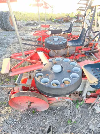 Plantadora Tomate y hortícolas Checchi & Magli