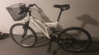 Bicicleta de paseo con cesta