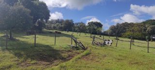 Alquiler Casa Rural, Temporadas, Semana Santa