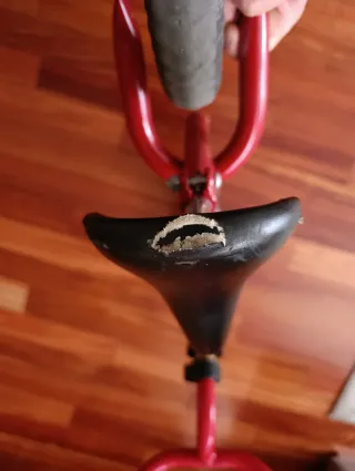 Bicicleta sin pedales Chicco Red Bullet