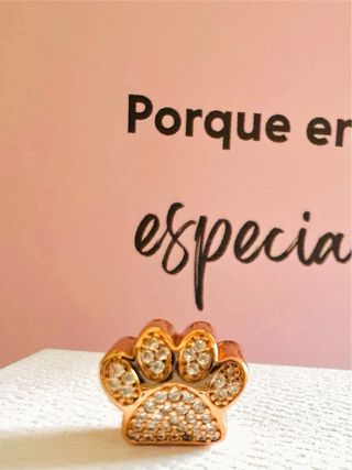 Charm Patita Oro Rosa Brillante