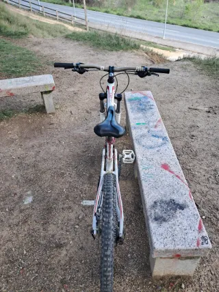 Bicicleta Enduro