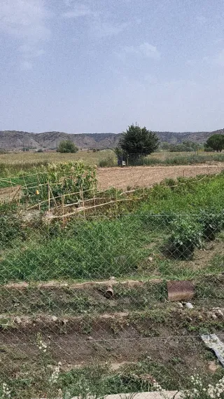 Alquiler de huertos en San Martín de la Vega .