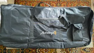 Teclado electrico Casio LK-S250 + accesorios