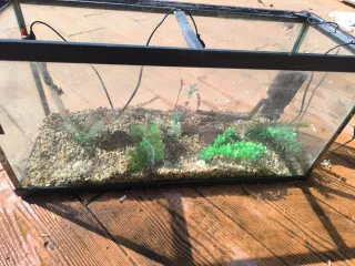 Pecera de cristal con marco negro 50l