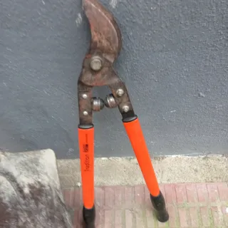 Pala Bellota Cuadrada y Tijera Podar