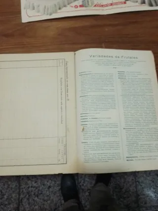 Catálogos comerciales principios siglo XX