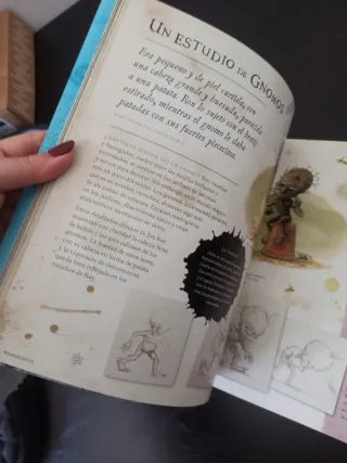 Harry Potter: Un viaje por la historia de la magia