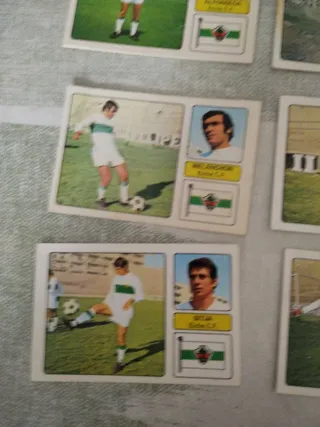 Lote 14 cromos Elche CF 73-74