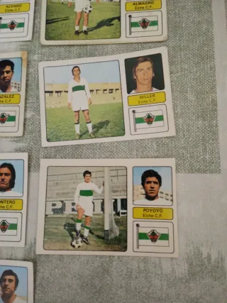 Lote 14 cromos Elche CF 73-74