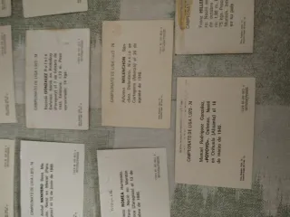 Lote 14 cromos Elche CF 73-74