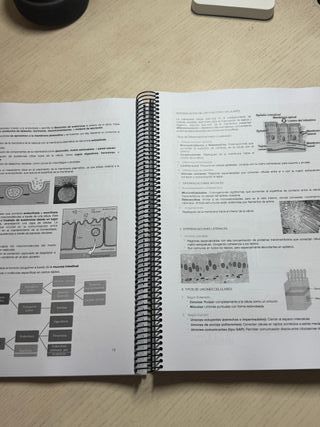Biologia segundo bach