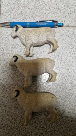 Animali in gomma lavabili