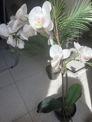 Plantas artificiales decorativas 2x1