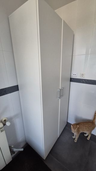 Armario auxiliar de madera y plástico