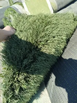 Césped artificial para piscina