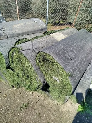 Césped artificial para piscina