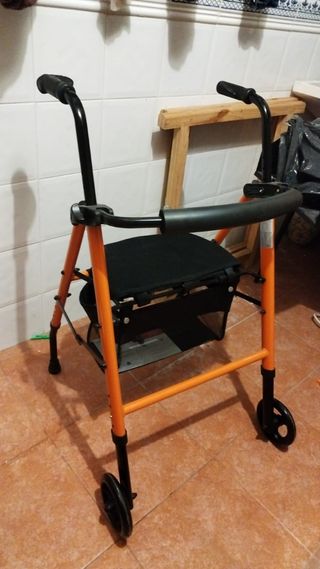 Andador de paseo