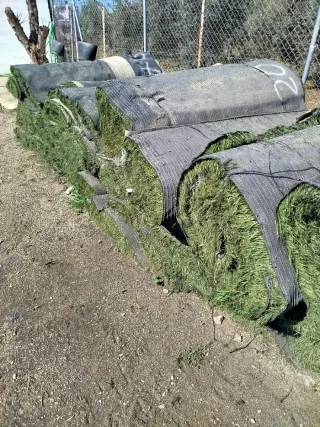 Césped artificial en rollos