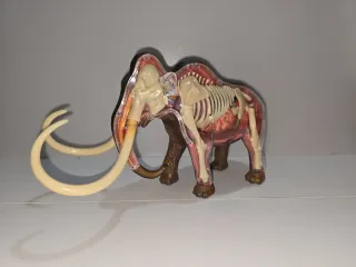 Figura Mamut Anatomía Grande