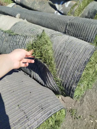Césped artificial en rollos