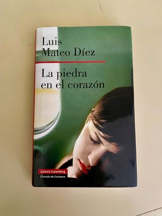 La piedra en el corazón (Spanish Edition)