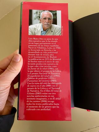 La piedra en el corazón (Spanish Edition)