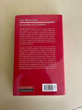 La piedra en el corazón (Spanish Edition)