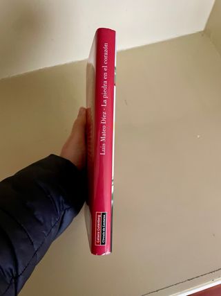 La piedra en el corazón (Spanish Edition)