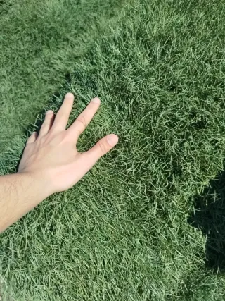 Césped artificial reciclado