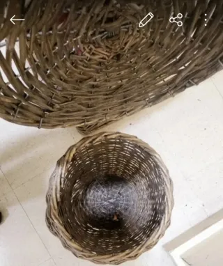 Cesto y frutero de mimbre