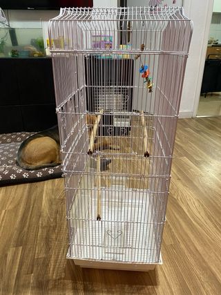 Jaula grande para pájaros