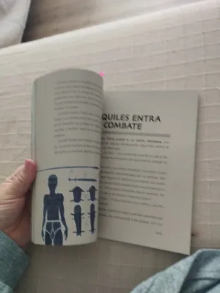 LA ILIADA (CUCAÑA) (Spanish Edition)