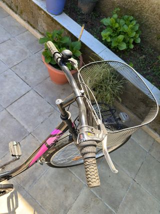 Bicicleta Aurélia Summertime Mujer