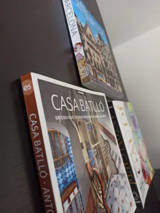 Pack Gaudí y Barcelona: arte, arquitectura, histor