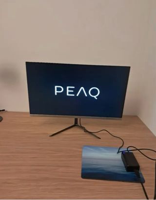 Monitor Peaq 22 55cm Negro/Plata