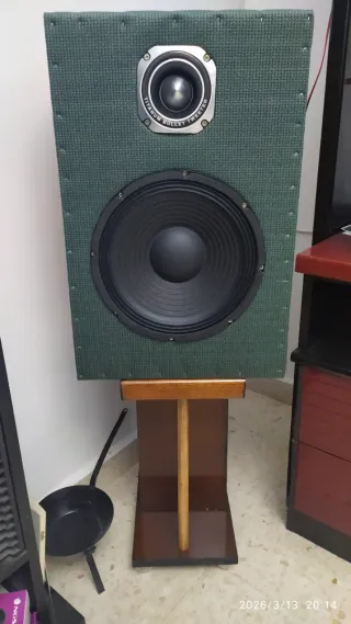 Pareja de Altavoces Marrones y Verdes