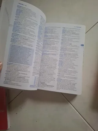 Diccionario Pocket Plus Inglés (Pocket Plus): D...