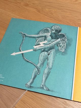 Vinilo Fuerza Nueva Edición Limitada.