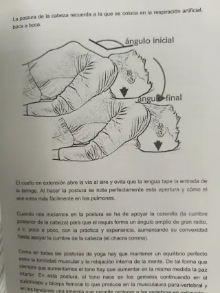 EL ORIGEN DE LOS ÁSANAS FUENTES PRÁCTICAS YOGA