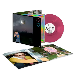 Vinilo Harry Styles - Kiss All The Time Disco