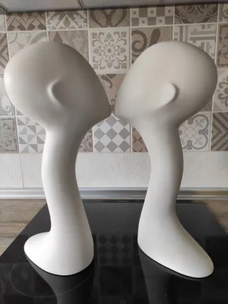 Conjunto 2 cabezas expositoras